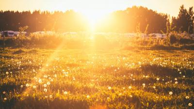 A summer field during sunset.