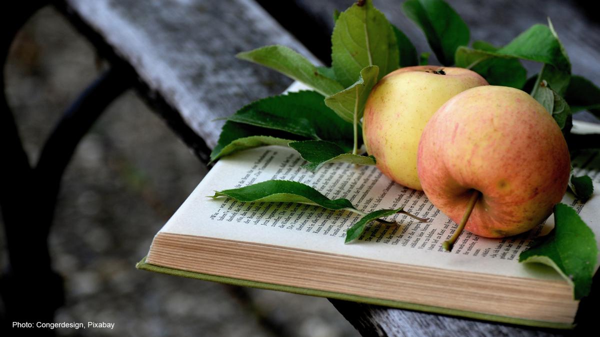 Kirja ja omenoita puistonpenkillä.